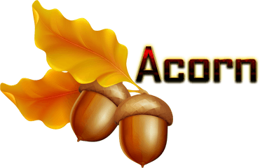 Transparent Background Acorn Clipart - Transparent Background Acorn Clipart Png