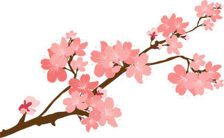 Blossom Flower Vector PNG Image High Quality