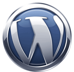 Wordpress Themes One Size Does Not Fit All Stickyweb - Wordpress Png