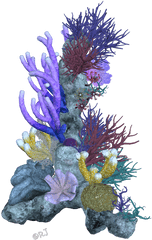 Download Pin Coral Reef Clipart Png - Coral Reef Transparent Background