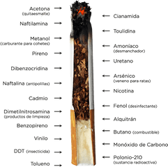 Download Transparent Humo Cigarro Png - Ostrich Png Sabes Lo Que Fumas