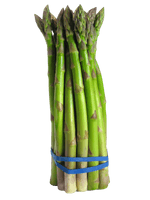 Asparagus Picture Bundle PNG File HD