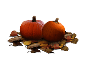 Real Pumpkin Clipart - Free PNG