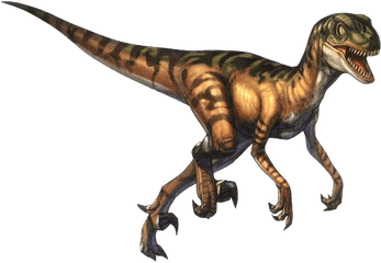 Download Free Png Velociraptor Pic - Immagini Di Dinosauri Velociraptor