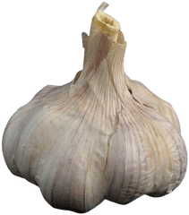 Download Ainsley Harriott Png - Garlic