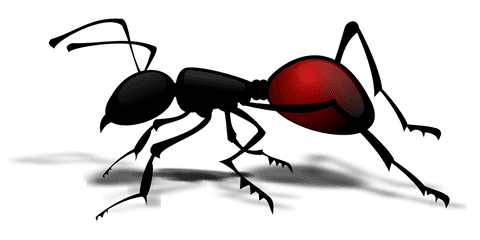 Ants Png Clipart Transparent Image - Transparent Ant Vector