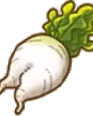 Radish - Clip Art Png