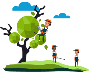 Tree Surgeon Arborist North London - Tree Cutting Felling Tree Surgeon Arborist Clipart Png