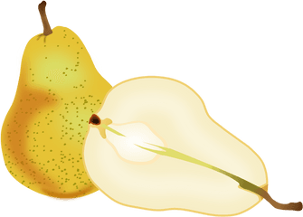 Plantapplefood Png Clipart - Royalty Free Svg Png Chinese Pear Clipart