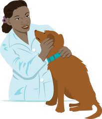 Veterinarian Png Image - Vet Png