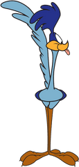 Warner Bros World Abu Dhabi - Clipart Roadrunner And Wile E Coyote Png