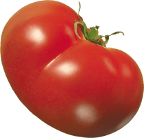 Tomato Png Image