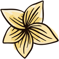 Hawaiian Flower Watercolor - Transparent Png U0026 Svg Vector File Como Dibujar Flores Hawaianas Paso A Paso