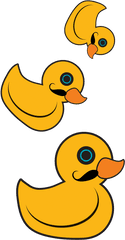 Home - Duck Png