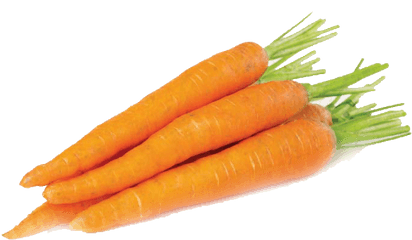 Carrots Png Image - Fresh Carrot