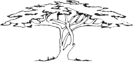 African American Art Books - Big African Tree Drawing Png