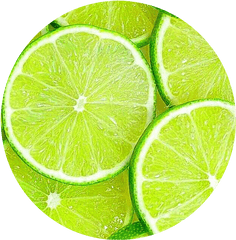 Circle Frut Limon Circulo Png Tumblr - Stiker Lemon