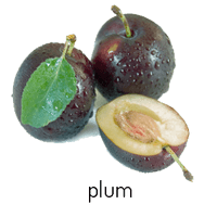 Plum Png Image