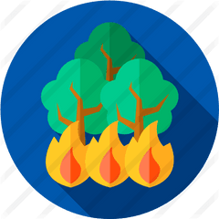 Fire - Illustration Png