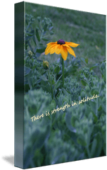 Strength Solitude Yellow Flower Quote By Kyla Schnabel - Susan Png