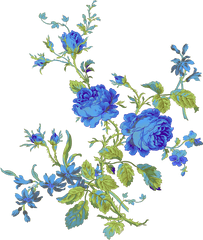 Yellow Rose Clipart Gold Flower Pencil And In Color - Blue Transparent Background Rose Yellow Png