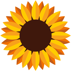 Aislada De La Cabeza Del Girasol - Sunflower Graphic Png