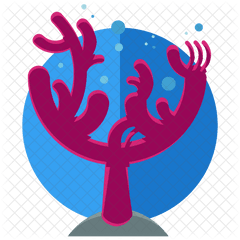 Coral Icon - Icon Coral Png