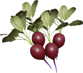 Beets - Beet Greens Png