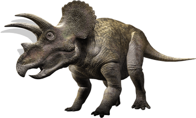 Dinosaur Png Clipart - Triceratops Walking With Dinosaurs