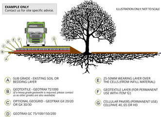 Tree Root Protection U2013 Example Groundtrax - Cellular Confinement System Png