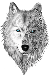 White Wolf Sticker By Whitewolfdesigns86 - White Background Wolf Spirit Animal Drawing Png