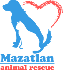 Home Mazatlan Animal Rescue Png Animals Transparent Background