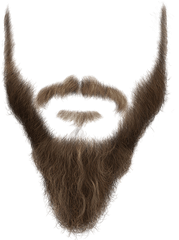 Download Long Beard Png - Beard Booth Png Png Image With No Sketch