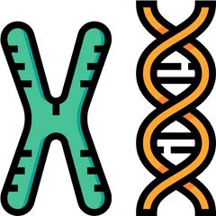 Pin - Biochemistry Clipart Png