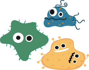 Bacteria Png - Bacteria Clipart Png