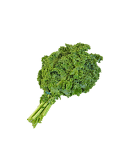 Canvas Print Png Native Kale Green - Kale