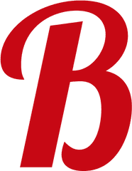 Cropped - Favicon B Png