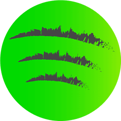 New Spotify Logo - Horizontal Png