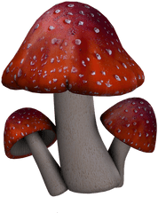 Red Mushroom Png Picture - Fantasy Mushroom Png