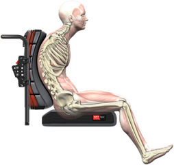 Wheelchair Seating And Positioning Tips - Anterior Pelvic Tilt In Wheelchair Png