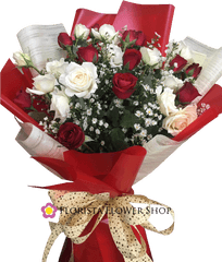 2 Dozen Red And White Roses - Garden Roses Png