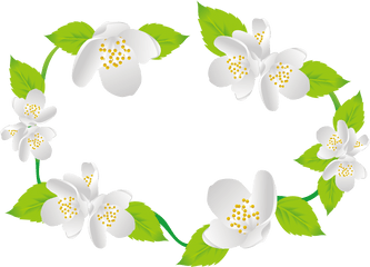 Library Of Jasmine Flower Png Files Clipart - Burnet Rose