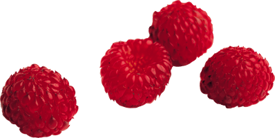 Rraspberry Png Image