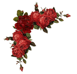 Download Flower Border Png - Transparent Red Flowers Png