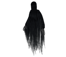 Fur Of Potter Azkaban Game Video - Free PNG