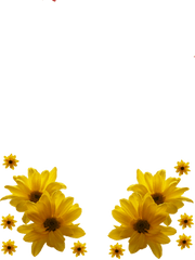 Download Yellow Flowers Frame Png Transparent - Uokplrs Hd Birthday Wishes Flower