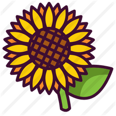 Sunflower - Free Nature Icons Gymnastics Federation Of India Png