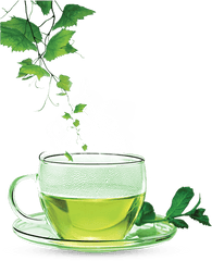 Green Tea Png Clipart Background - Green Tea Png Transparent