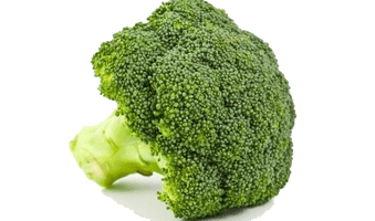 Broccoli Png Clipart