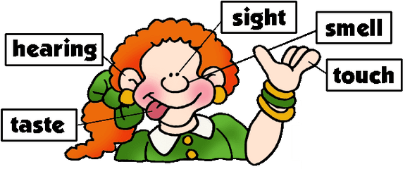 5 Senses Clipart Gif - Sensory 5 Senses Gif Png